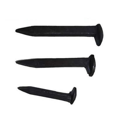 شراء طيور القطار ذات جودة عالية online manufacture